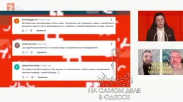 Кошка бросила котят... Уже в прошлом. Сейчас новое!