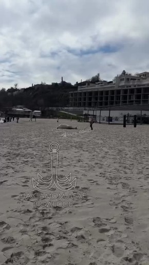 ������� �����������. ����� ������ ������������ �� �����