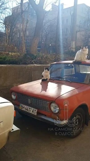 ���� ��, ������-���� ����������