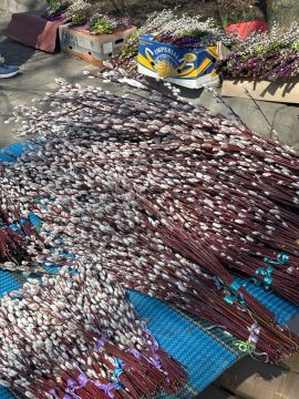 Одесситы вовсю отмечают Вербное воскресенье