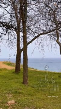 � ������ ������ ����������� - ����������� ������ ������ ����� � �����������