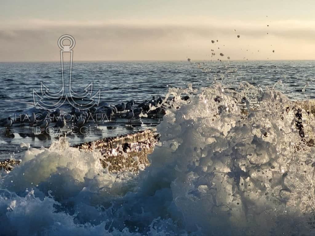 Коммунальные службы 07 апреля 2026 года в Одессе и области информируют: Коммунальные службы 07 апреля 2026 года в Одессе и области информируют: