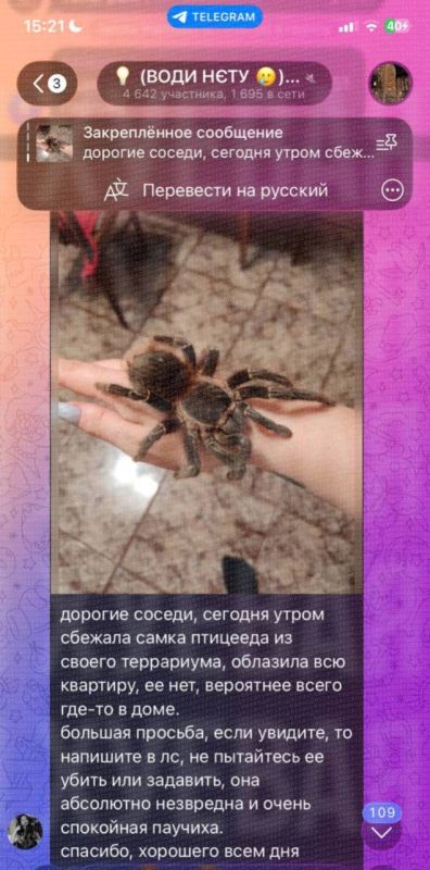 � ������ �� �������� ������� ����� ��������