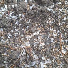 � ������ ��������� ������ �������� � ����� ������� �����