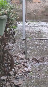 Погода в Одессе всегда капризна: дождь, снег