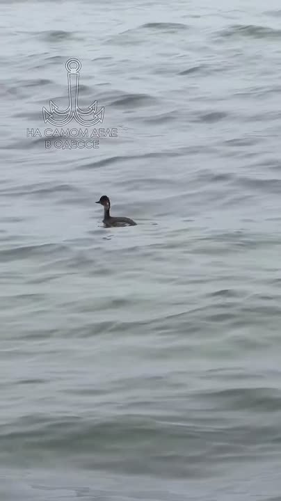 В Одессе сегодня тяжелое небо с дождями