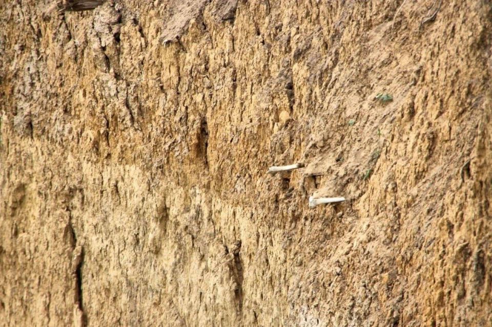 �� �������� ������� ��������� ����� �������� � �� ���������� ����� ������ ����� � �����