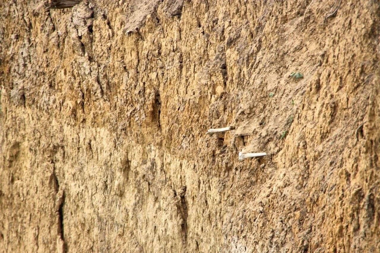 На Одесчине оползни разрушили часть кладбища – на оставшейся части торчат кости и гробы На Одесчине оползни разрушили часть кладбища – на оставшейся части торчат кости и гробы