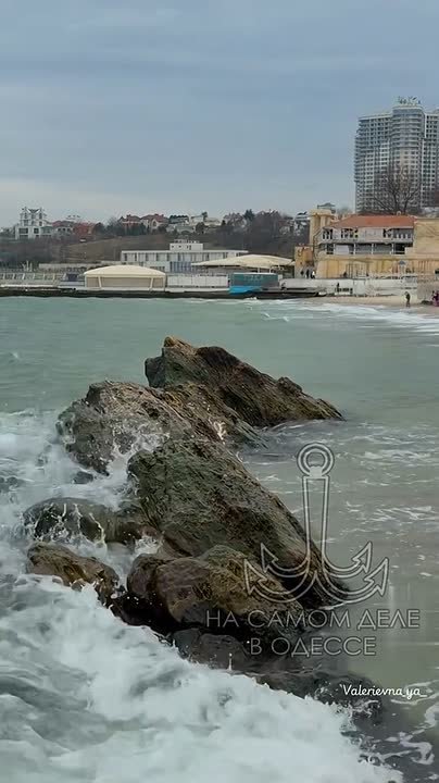 Одесса-мама, мирных снов. — Сёма, и шо ты весь вечер молчишь, как вчерашняя риба на Привозе?