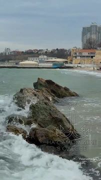 Одесса-мама, мирных снов. — Сёма, и шо ты весь вечер молчишь, как вчерашняя риба на Привозе?