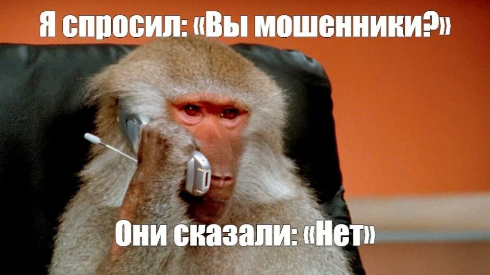 � ������ ������� �������������� �� 100 ����� ������