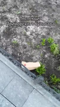 ��� ��� ����� ��� ������ ����������� ����� ����!