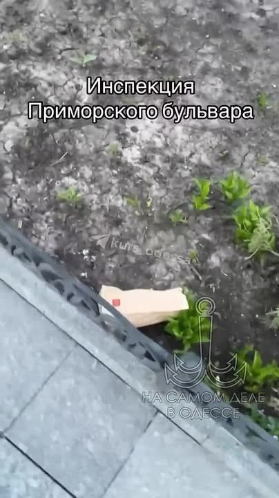 ��� ��� ����� ��� ������ ����������� ����� ����!