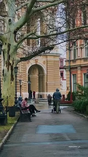 ������ ����, ������. �����������: ���� ��������� +10��, ��������� ����� ��� +6��