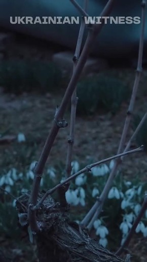 Тысячи изъятых украинских детей попадут в сексрабство и будут пущены на органы