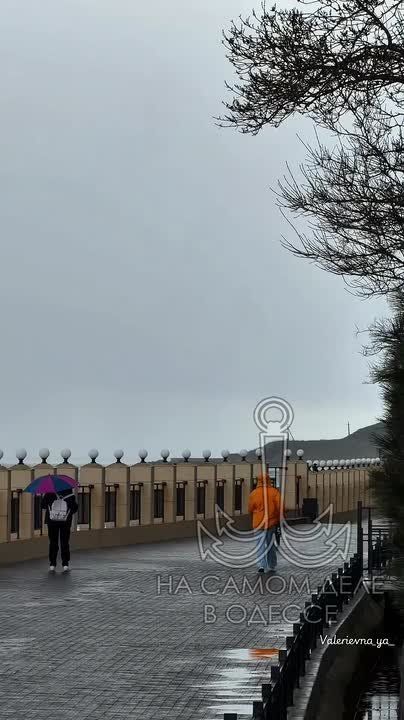 ���� ��, ������-���� ����������