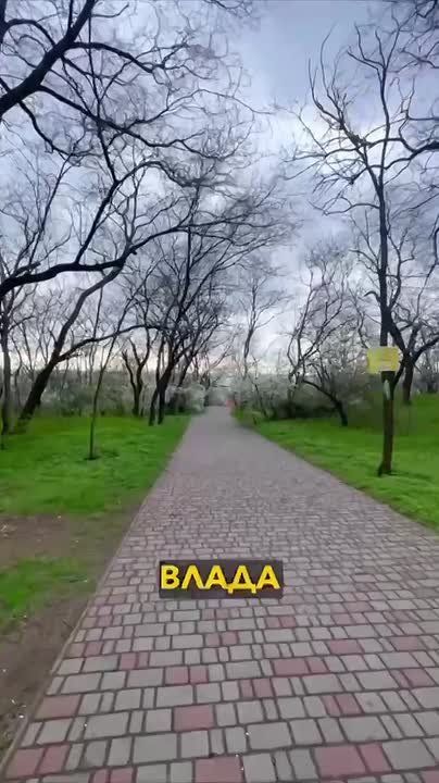 �������� ������: ��� ��������� ������ ��������