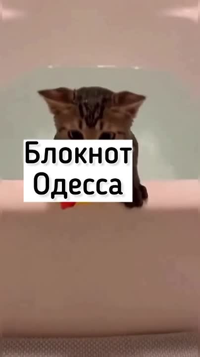 Устали от скучных лент? У нас каждый день — готовый анекдот