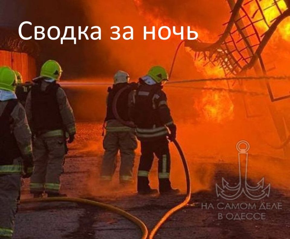 ������ �� ���� �� 17 ������ 2026 ����