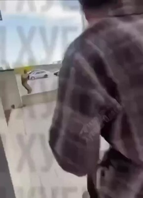 �������������, �. ������