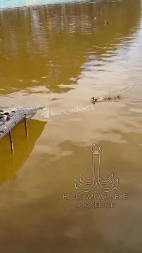 ����-���� � � �����. ��-�� ����, ��� � ����� ������ � ������ �������� ����, ���� � ������� �� ����� ��������� ��������� � �����, ������ ��� ������ �� �������