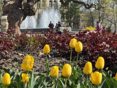 � ������ ����� ��� �� ��� ������� ������!