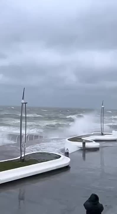 ��������� ����� �� 20 � / � ��������� � ������