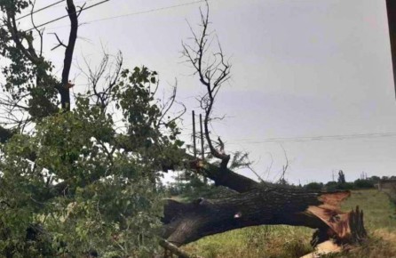 � �������� ������� ��-�� �������� ����� �������� ������� � ��������������