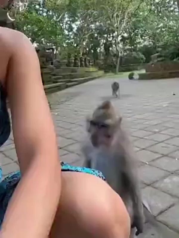 �� ���� ������� � ������� ����� ��������� � ���������