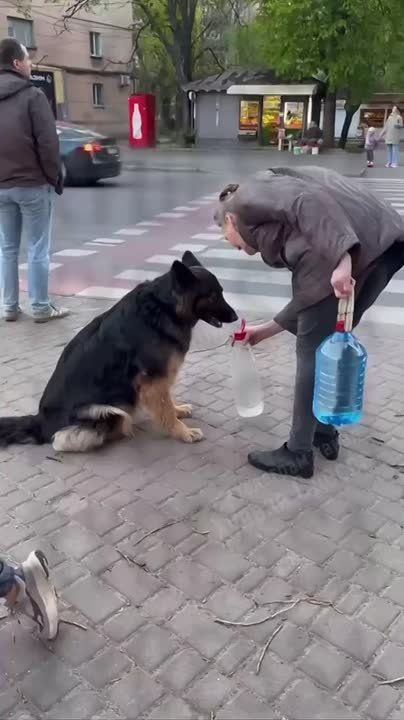 � ������ ������ �������� ������� ������� ����
