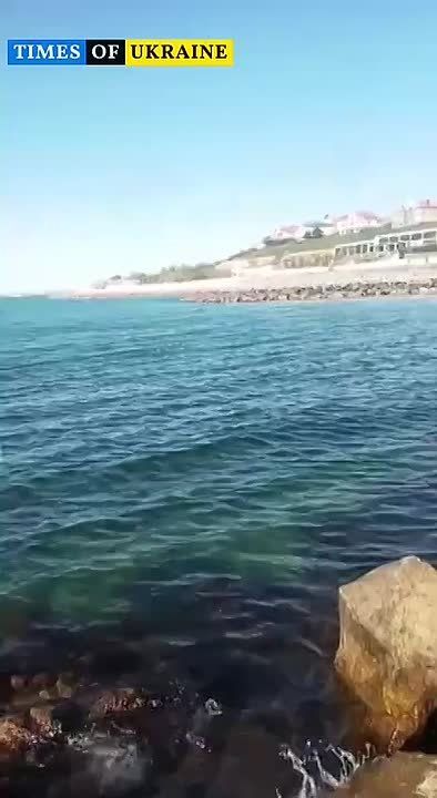 � ������ ������� ��������� ����� � ����
