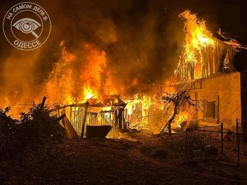 ������ �� ���� �� 29 ������ 2026 ����