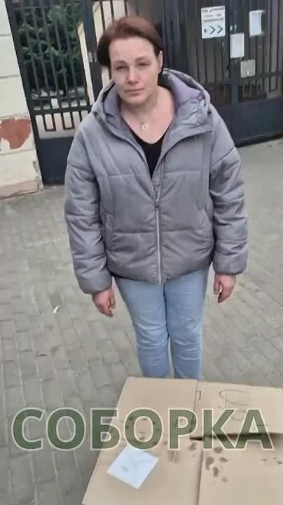 Добрые новости из Черноморска: там от экокатастрофы спасли лебедя