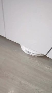 ���� ���, ����� �� ������ ������