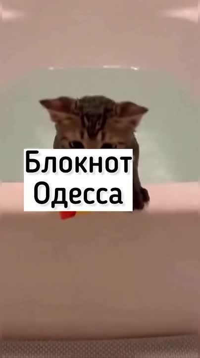 Устали от скучных лент? У них каждый день — готовый анекдот