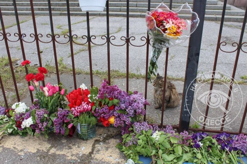 С самого утра на Куликовом поле приходят люди С самого утра на Куликовом поле приходят люди