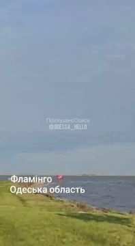 ���� �������� �������� � �������� �������
