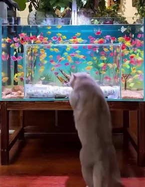 ������ ����, ������. ������ ��� ������ �� ���������� ������, ��� � ����� ���� ������������� � ���� �� ������� ���������! ������� ������ � Telegram