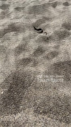 � ������ �� ������ �������� ����