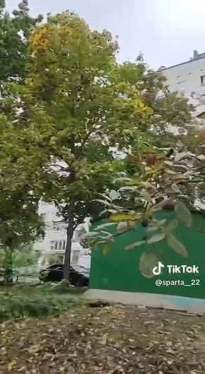 � ������ ������ ������� ��� ���� ����� �������