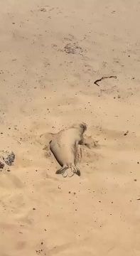 ����� ��� ���� ������� ��� �� ��������, ��� � ����� �������� ������!