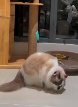 �� ����� �������� �������� �������� ����� ����� ������� �������� ���
