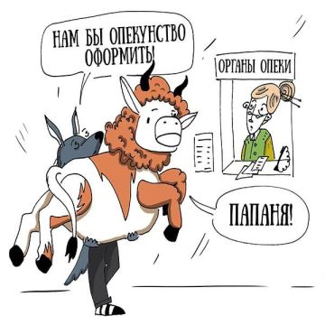 ������ ����� � ���-3 ������� �� ���������� ������������ ����� � 2025 ����