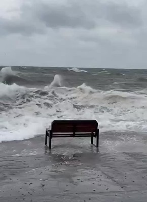 ������� � ������ ��������� ��������� ��������������