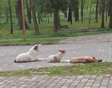 В Одессе внедрили новую сирену