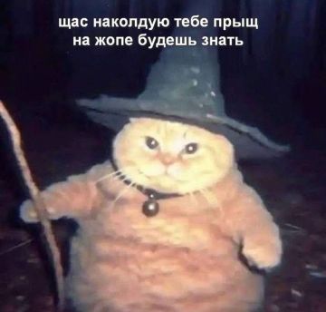 � ������� ����� ���������� �������, ����� � ������������