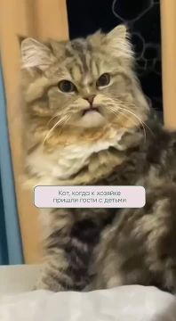 � ���� ������ ��� ����� �� �������, ��� � ����?