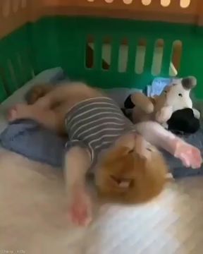 Котик в тельняшке желает всем доброго утра!