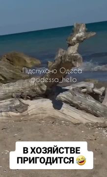 Мальчишка утащил с пляжа Одессы разорванные надвое беспилотник