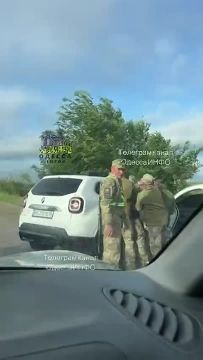 Одессит пытался полями уйти от погони, но сотрудники ТЦК оказались проворнее